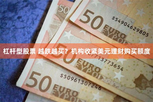 杠杆型股票 越跌越买？机构收紧美元理财购买额度