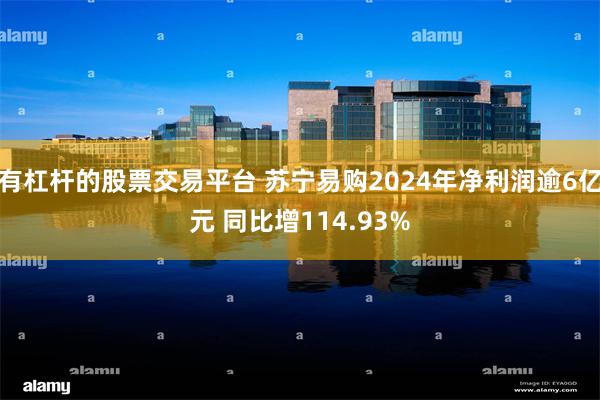有杠杆的股票交易平台 苏宁易购2024年净利润逾6亿元 同比增114.93%