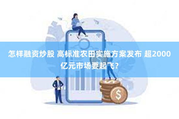 怎样融资炒股 高标准农田实施方案发布 超2000亿元市场要起飞？