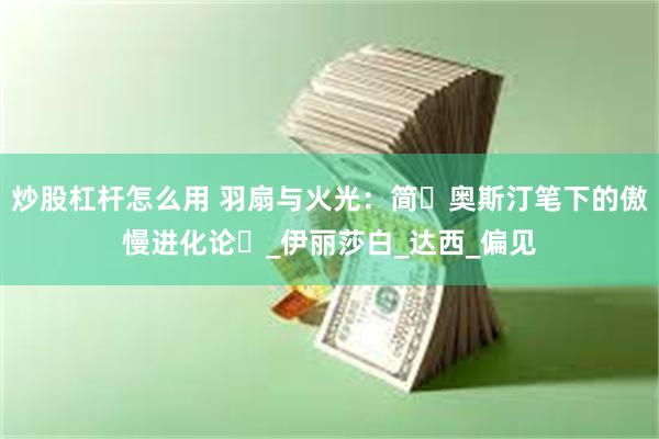炒股杠杆怎么用 羽扇与火光：简・奥斯汀笔下的傲慢进化论​_伊丽莎白_达西_偏见