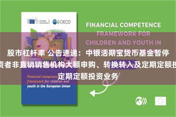 股市杠杆率 公告速递：中银活期宝货币基金暂停机构投资者非直销销售机构大额申购、转换转入及定期定额投资业务