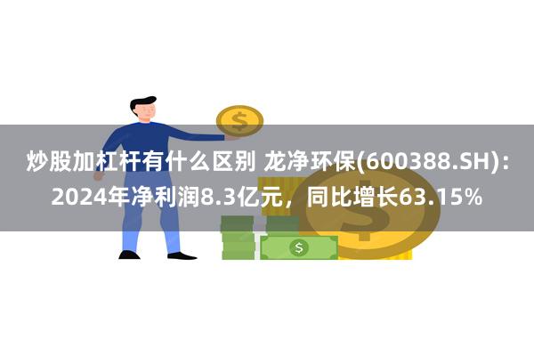 炒股加杠杆有什么区别 龙净环保(600388.SH)：2024年净利润8.3亿元，同比增长63.15%