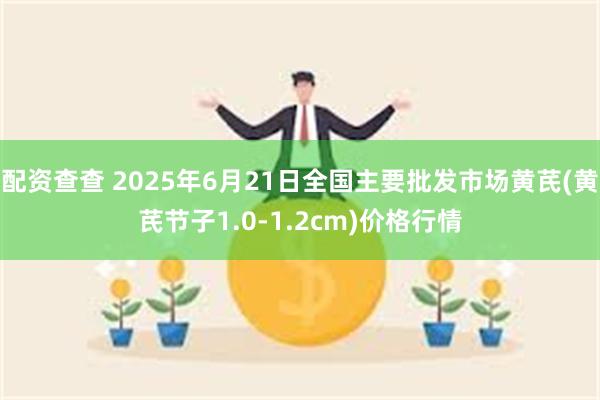 配资查查 2025年6月21日全国主要批发市场黄芪(黄芪节子1.0-1.2cm)价格行情