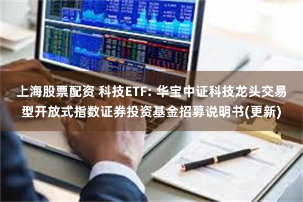 上海股票配资 科技ETF: 华宝中证科技龙头交易型开放式指数证券投资基金招募说明书(更新)