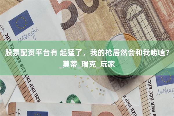 股票配资平台有 起猛了，我的枪居然会和我唠嗑？_莫蒂_瑞克_玩家